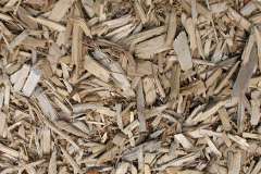biomass boilers Lower Hardres